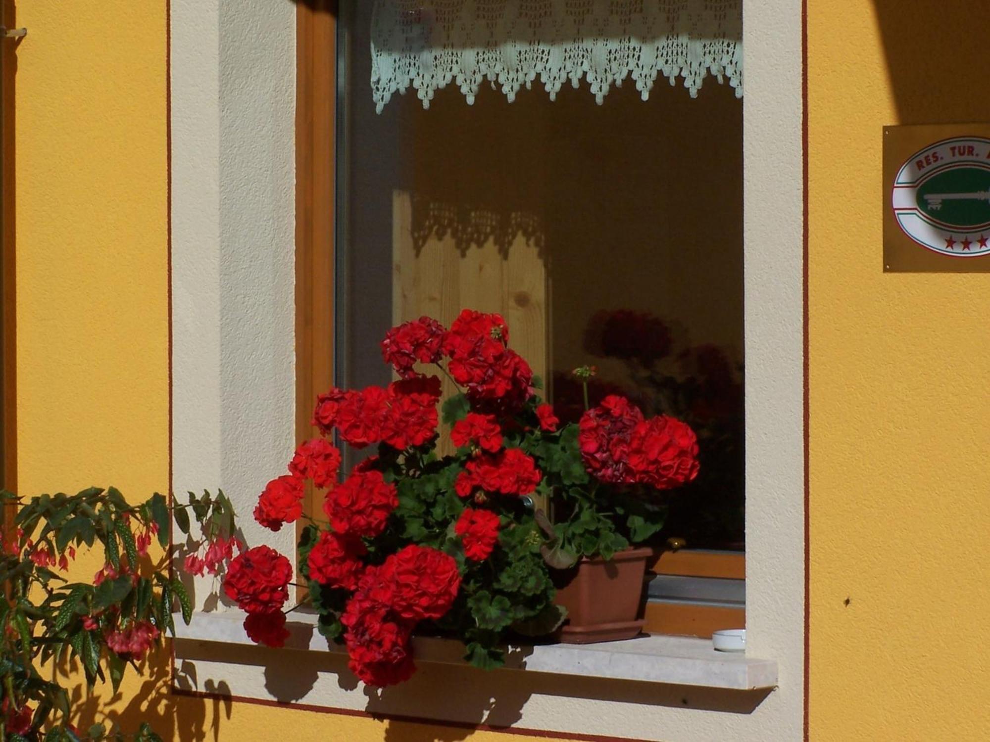 Aparthotel Tana Della Volpe Lavarone Esterno foto